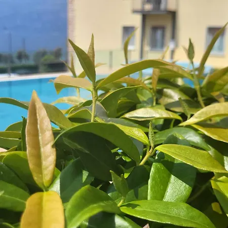 Rosemary Brenzone sul Garda