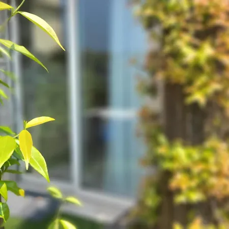 Rosemary 4* Brenzone sul Garda