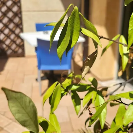 Rosemary Lejlighedshotel